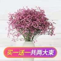 云南鲜满天星干花花束勿忘我家居摆设清新装饰花真花ins干花大束