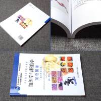 正版书籍 全国高等医学院校教材:组织学与胚胎学彩色图谱(第2版) 适用于本科生和专科生学习 组织学标本制作 