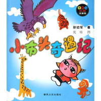 小布头奇遇记(名著注音版)  孙幼军经典童话 一二年级小学生课外阅读儿童文学课外读物教辅 6-9岁少儿故事书籍