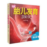 图解胎儿发育280天 胎教书籍 胎教故事书 怀孕书籍 孕期书籍大全 孕妇书籍大全 怀孕期 胎教用品 怀孕圣经 孕妈妈