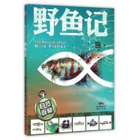 正版   野鱼记 自然观察 一本五彩斑斓的野生鱼类世界野菜 7-8-9-10-11-12岁一二三年级课外阅读绘本彩图