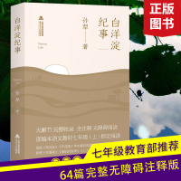 3本39  荷花淀 派孙犁作品代表作白洋淀纪事姊妹篇抗日题材革命散文小说现当代文学作品集书籍莫言贾平凹茅盾等推荐