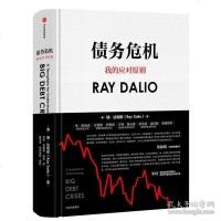 正版  债务危机 瑞·达利欧 2019投资定心作 经济展望投资趋势 破解金融危机规律 创建债务大 模型 经济书籍 畅