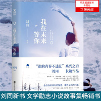 正版   我在未来等你 刘同新书正版书籍 向着光亮那方 谁的青春不迷茫系列 青春文学小说成功励志书籍 文学励志小说故