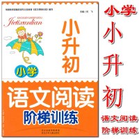 小升初语文阅读阶梯训练 小学生阅读理解强化训练题教辅 精选作文基础知识大全集锦 五六年级总复习资料
