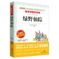 绿野仙踪(无障碍精读版)/爱阅读语文丛书同步教材读物中外名著名师导读附答案 6-8-12岁青少年中小学生二三四五六年