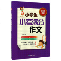 《小学生小考满分作文 好老师作文》 3-4-5-6年级语文阅读写作 范文赏析素材积累运用 点评技法指导思路点拨辅导工