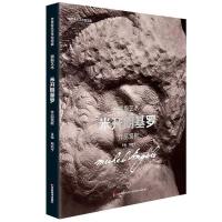 8开235页米开朗基罗作品赏析 世界著名美术馆馆藏拥抱艺术 米开朗基罗雕塑画册人物形象场景建筑雕塑实拍照片全集高清印