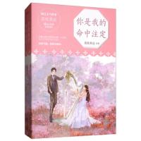 正版   你是我的命中注定 荔枝香近    青春文学言情 都市情感爱情校园小说霸道总裁甜蜜宠 甜到飞起,宠到无底线