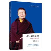 当生命陷落时:与逆境处的智慧佩玛丘卓 勘透逆境 充满法喜 身心灵导师胡因梦推荐 自我实现成功励志 创巴仁波切西藏金