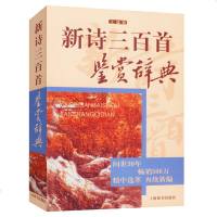 新诗三百首鉴赏辞典(文通版) 鉴赏辞典 品牌再续新推古代经典文学经典系列 传统文本现代赏析    书