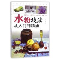 正版 水粉技法从入到精通 水粉绘画技法书籍 水粉画初级提高篇 怎样画水粉画 