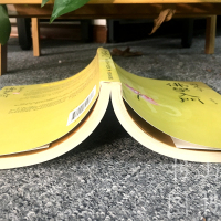    因是子佛学入 蒋维乔 宗教佛教哲学书籍 佛教的历史教理经论佛家修行方式 释迦哲学人生哲学生活感悟 佛学通俗入