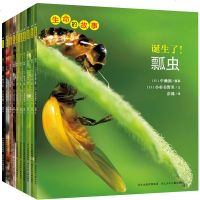 全套10册 生命的故事第一辑 诞生了 小龙虾蝌蚪蚂蚁瓢虫独角仙水虿螳螂等儿童科普百科认知书籍少儿艺术图书昆虫摄影绘本