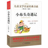 小布头奇遇记 孙幼军儿童文学名家经典书系 曹文轩推荐 7-10-12-15岁青少年版励志故事书 三四五年级中小学生课