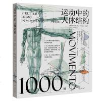十年运动中的人体结构彩色版骨骼解剖艺术素描动态人物素描临摹基础技法书籍1000幅高清人体结构绘画教学手绘广西美术