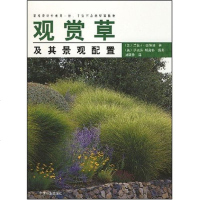 观赏草及其景观配置 景观配置书籍 园林草木养护与栽培教程 绿化植物造景技术教材 园林绿化草木栽培修剪病虫害书籍园林景