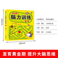 4岁儿童脑力训练全书 宝宝书籍智力开发左右脑 益智启蒙幼儿园大班中小 幼儿童早教数学思维游戏训练书 走迷宫找不同逻辑