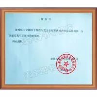 刺客信条小说全套正版全11册 末裔大革命异端文艺复兴黑旗秘密圣战遗弃兄弟会底层世界可汗陵 中文版游戏科幻小说周边书籍