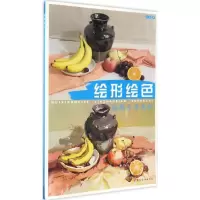 绘形绘色 王磊 著 工艺美术（新）艺术 图书籍 
