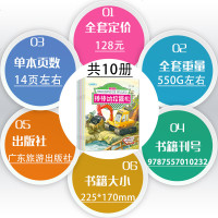工程车故事书全10册 儿童绘本故事书6-7岁带拼音字大 汽车书籍大全 车车认知大画书 神奇的校车 幼儿园图书3-6岁