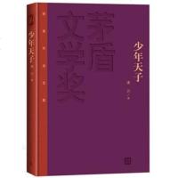 正版 少年天子凌力 第三届茅盾文学奖获奖作品 人民文学小说 历史