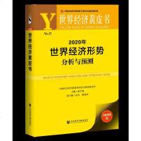 2020年世界经济形势分析与预测 2020世界经济黄皮书中美贸易 经济形势分析通货膨胀债务水平趋势货币政策解读 