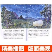 驴小弟变石头 信谊绘本硬壳精装0-3-6岁 非注音版美国凯迪克金奖作品亲子读幼儿早教启蒙入园准备儿童成长睡前图画畅