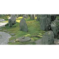 枯山水的源与意  日本枯山水庭院简史 15座经典枯山水案例 日本文化爱好者  日式园艺设计爱好者 日本小众旅行指南书