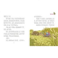 冰波经典童话系列书花背小乌龟关于动物的故事书小学生名家文学读本一年级课外书必读班主任推荐经典中国童话儿童读物6-10