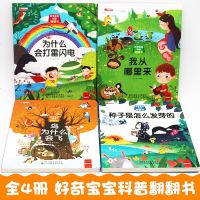 4册好奇宝宝科普翻翻书 0-3-6岁益智游戏婴儿启蒙认知我从哪里来绘本1 2岁儿童书籍二岁幼儿启蒙3D立体撕不烂早教