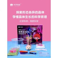 科学海盗 steam海盗探索学院 神奇的宝石 探索结晶的生长历程 儿童启蒙科学思维书6-9-12岁小学生趣味实验di
