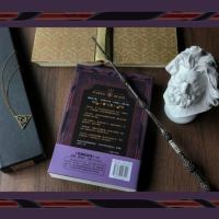 紫与黑 K.J.帕克短篇小说集 正版   世界奇幻大师丛书 奇幻大师作品 世界奇幻奖得主 科幻小说 书籍