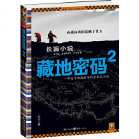 藏地密码2 何马著作 沙海鬼吹灯盗墓笔记河神天下霸唱南派三叔系列书籍 现代当代文学悬疑侦探推理惊悚恐怖小说书籍正版书