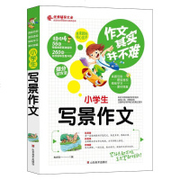 2020新版小学生写景作文同步作文好词好句好段好开头好结尾小学生三四五六年级辅导书大全3-6年级作文日记起步