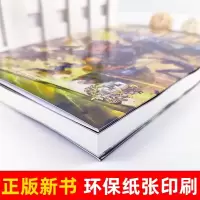 正版阿多拉基3消失的羽翼单本买1册星海战神郭妮作者幻影游船小说故事科幻书籍小学生四五六年级课外必读漫画机器人太空冒