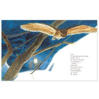 凯迪克金奖月下看猫头鹰 信谊精装绘本3-6-8岁幼儿亲子阅读故事图画书籍 家庭亲子情商睡前读物图书本新英格兰100本