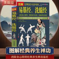 正版   图解易筋经、洗髓经 易筋经养生达摩古法与少林功夫武术书籍 养生禅功易经书籍 养生保健强身健体  书籍