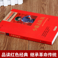 小游击队员 小学生革命传统教育读本红色经典 正版   三四五六年级中小学生课外阅读少年励志  书籍 青少年抗日英雄爱