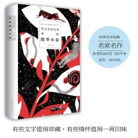 你应该阅读的世界微型小说 小说 青春文学 经典 短篇小说集精选 当代文学书籍