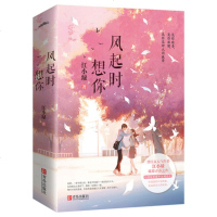 随书赠书签+明信片+万字番外风起时想你 全2册套装江小绿著 甜美服装设计师&人气男神歌手久别重逢甜宠文言情小说青春文