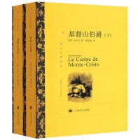 正版 基督山伯爵 上下册 译文名著精选 大仲马原著 世界经典文学名著书籍 外国名家原著文学小说 法国通俗历史书籍 