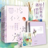 飞机盒发货 赠明信片+书签恰似寒光遇骄阳2 囧囧有妖都市爱情青春言情小说正版 女性校园爱情晋江文学冰糖炖雪偏偏宠爱暗