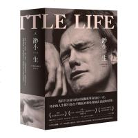 渺小一生 跨越三十年的友情史诗 焦虑时代城市打拼编年史 理想国 生活大爆炸 蔡永康推荐 外国小说  书