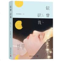 正版 似曾识我 华语言情作家梅子黄时雨泣心虐恋之作都市爱情情感小说青春文学 倔强敢爱豪女主VS落魄敢恨腹黑男含四篇