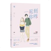 一见到你呀 栖见著WE-36.8正版  闪发Z2文化 青春文学都市甜宠文