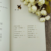 黑木头 儿童文学作家赵丽宏 著 中小学生课外阅读书籍 中小学语文教材 全新儿童成长小说 一部唤醒生灵之爱和家庭之爱的