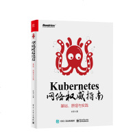 正版 Kubernetes 网络权威指南 基础原理与实践 Docker容器网络虚拟化 Istio内核技术 底层实现流