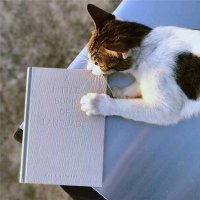 正版   新民说 语言小书 [英]戴维·克里斯特尔 语言学 公开课 科普 享誉全球的语言学大师  语言文字书籍