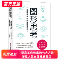 图形思考一张图展现你的逻辑思考力 逻辑学思维书籍金字塔原理 图形思考与表达沟通能力模式 提高工作效率快速解决问题的能